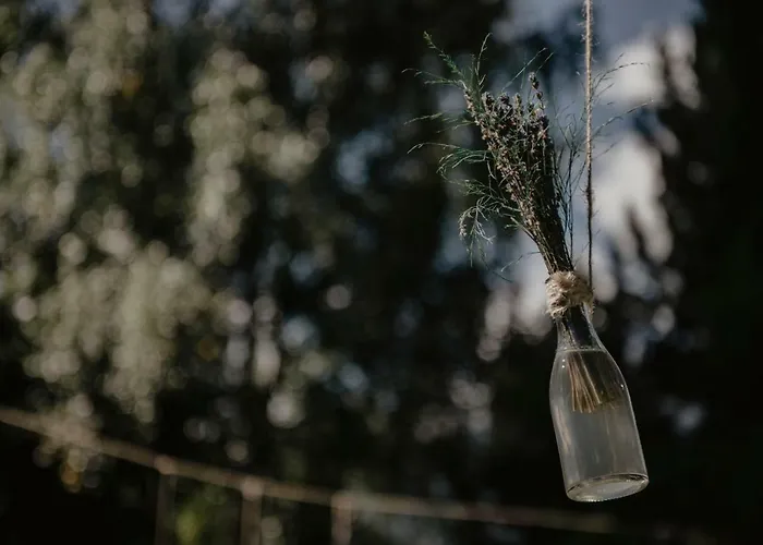 Otel Meuble Sci Sport 3*